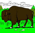 Dibujo Búfalo  pintado por bisonte