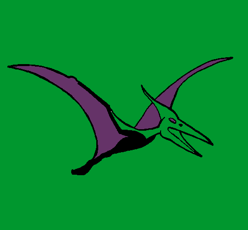 Pterodáctilo