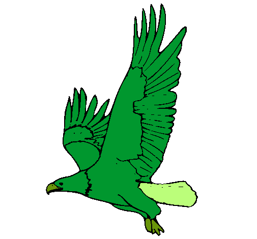 Águila volando