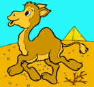 Dibujo Camello pintado por ferney