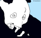 Dibujo Oso panda con su cria pintado por lore