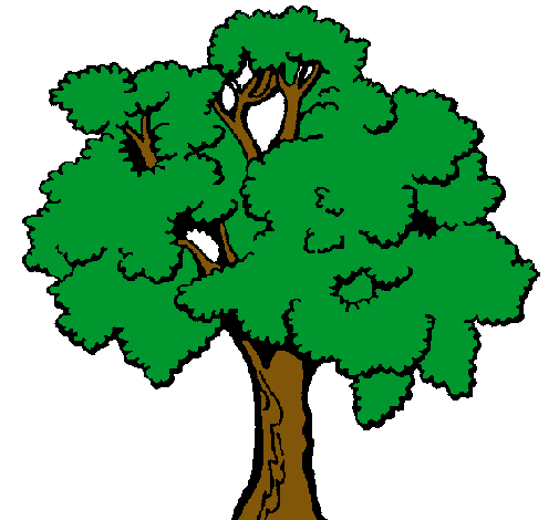 Árbol