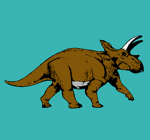 Triceratops