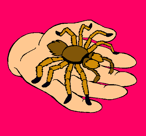 Tarántula