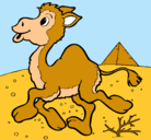 Dibujo Camello pintado por esme