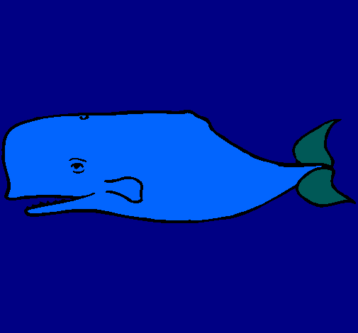 Ballena azul