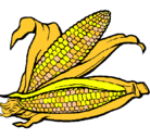 Dibujo Mazorca de maíz pintado por MAZORCA