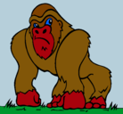 Dibujo Gorila pintado por kingkong