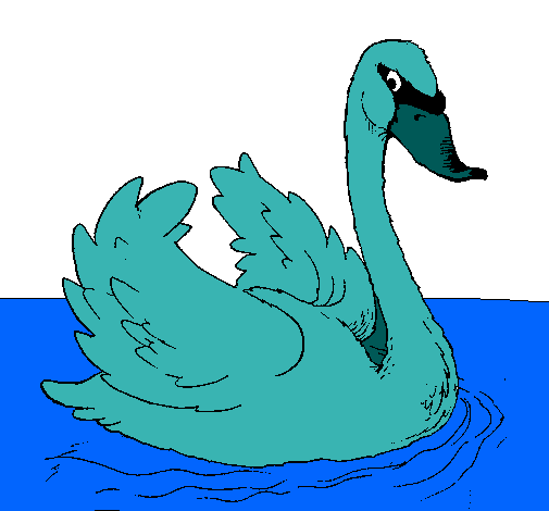 Cisne en el agua