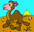 Dibujo Camello pintado por Amarilis