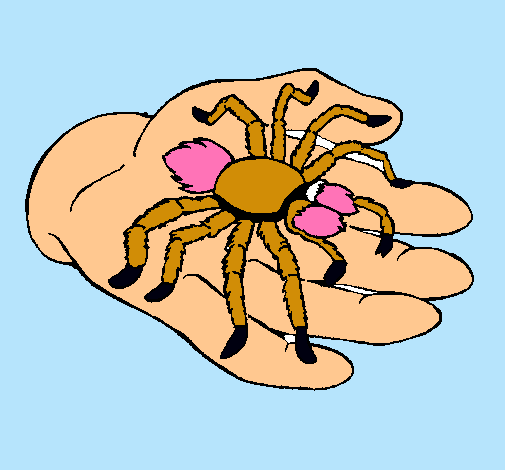 Tarántula