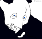 Dibujo Oso panda con su cria pintado por valeria