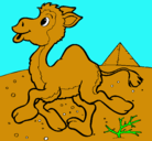 Dibujo Camello pintado por Millicent