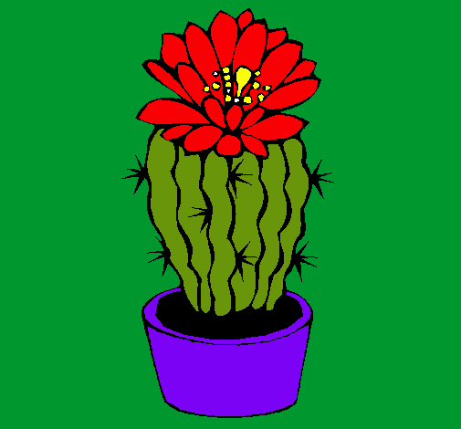 Cactus con flor