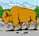 Dibujo Búfalo  pintado por rafillacasares