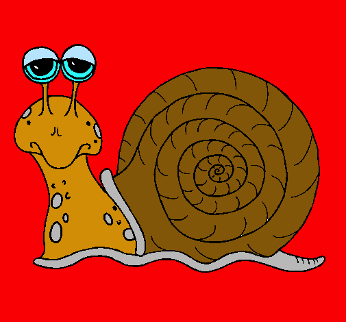 Caracol