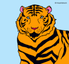 Dibujo Tigre pintado por gala