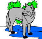 Dibujo Lobo pintado por rodrigo