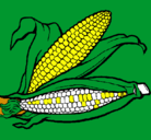 Dibujo Mazorca de maíz pintado por albapato