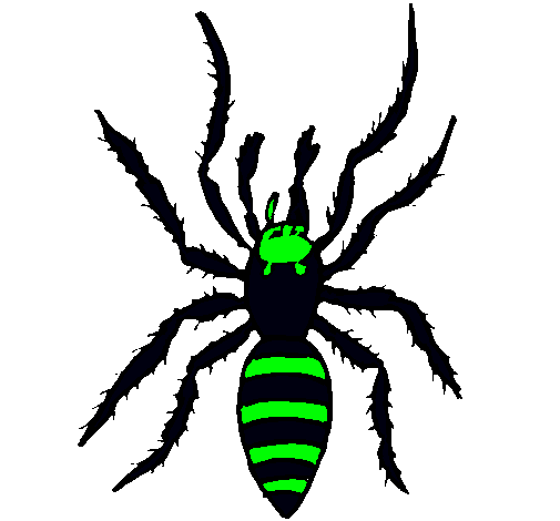 Araña tigre