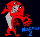 Dibujo Madagascar 2 Alex 2 pintado por marvin