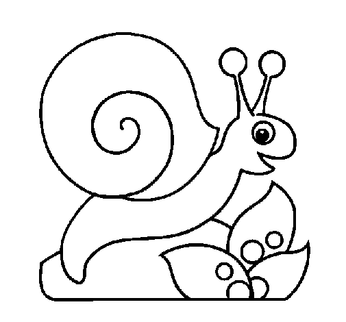 Caracol