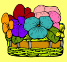 Dibujo Cesta de flores 12 pintado por pamela