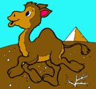 Dibujo Camello pintado por beatriz