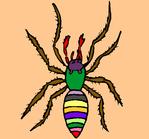 Araña tigre