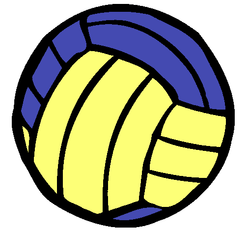 Pelota de voleibol