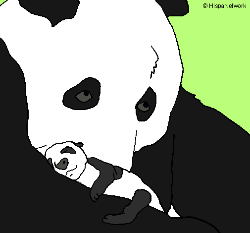 Oso panda con su cria