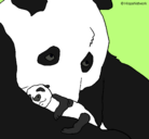 Dibujo Oso panda con su cria pintado por DesertPirate