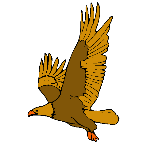 Águila volando