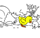 Dibujo Gallina y pollitos pintado por gfdrrt