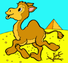 Dibujo Camello pintado por marta