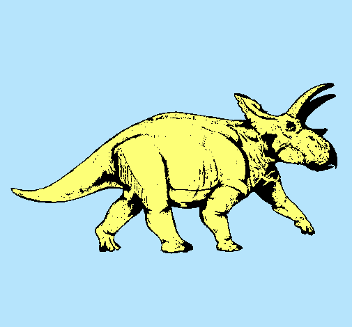 Triceratops