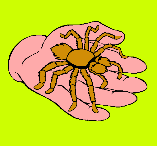 Tarántula