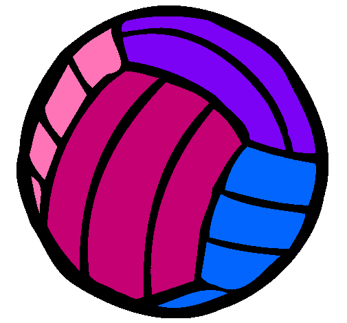 Pelota de voleibol