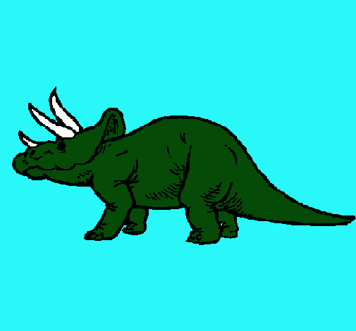 Triceratops