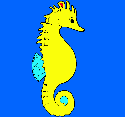 Caballito de mar