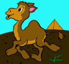 Dibujo Camello pintado por lada
