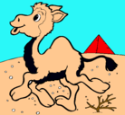 Dibujo Camello pintado por miniaCARLITA