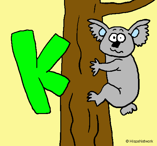 Koala