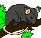 Dibujo Ardilla possum pintado por zarigüeya