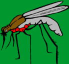 Dibujo Mosquito pintado por r
