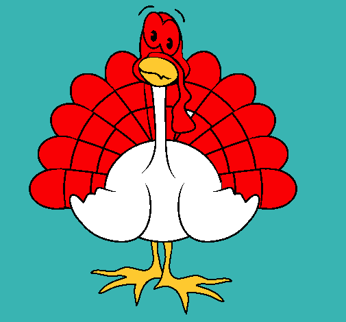 Pavo