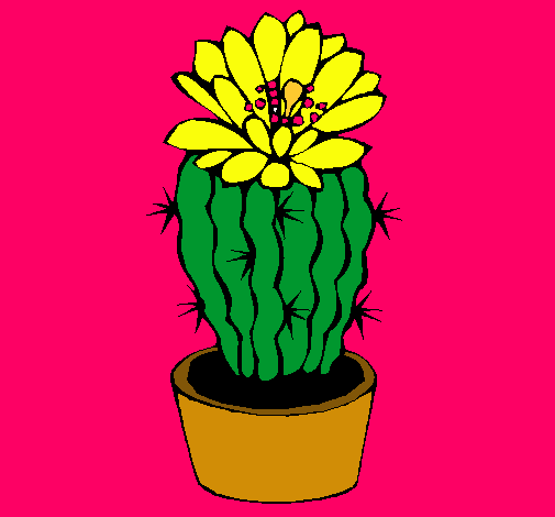 Cactus con flor