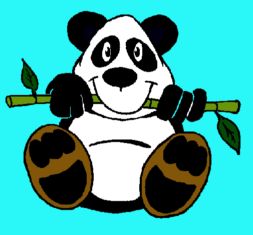 Oso panda