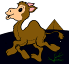 Dibujo Camello pintado por sebastianlopez