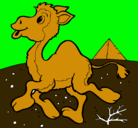 Dibujo Camello pintado por karla